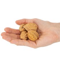 Artículo Nueces, un producto natural para la decoración de mesas y proyectos de bricolaje. Nueces naturales, 4-5 cm, 300 g.