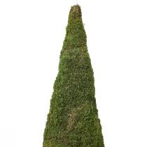 Artículo Árbol de Navidad decoración de árbol de musgo en verde natural Ø25cm H70cm