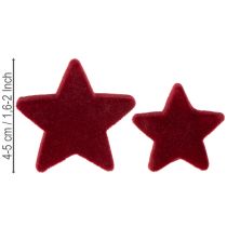 Artículo Adornos navideños, estrellas, flocados color burdeos, decoración de mesa, 4-5 cm, 40 piezas