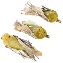 Artículo Decoración navideña pájaro en clip verde, purpurina 12cm 6 piezas surtidas