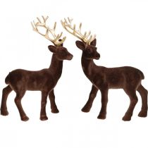 Artículo Adorno navideño ciervo para colocar marrón dorado 20cm 2uds