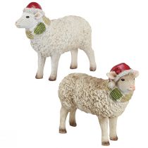 Artículo Figuras navideñas ovejas con gorro y bufanda L16cm 2 piezas