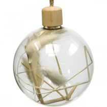 Artículo Bolas navideñas bola decorativa de cristal rellena de flores secas Ø8cm 3pcs
