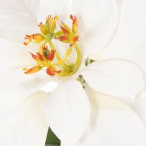 Artículo Flor de Pascua artificial, blanca, flor grande, planta decorativa, 40 cm