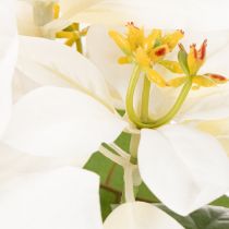 Artículo Flor de Pascua artificial, blanca, flor grande, planta decorativa, 40 cm