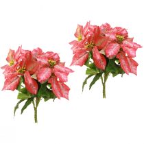 Artículo Poinsettia artificial Rojo Rosa L35cm 6 piezas 2 racimos
