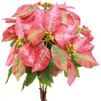 Artículo Estrella de Navidad estrella de Navidad artificial roja rosa L53cm