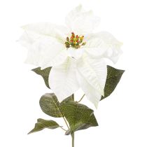 Artículo Flor de Pascua blanca artificial, decoración de rama florida grande, 65 cm, 2 piezas