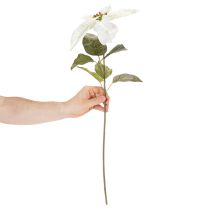 Artículo Flor de Pascua blanca artificial, decoración de rama florida grande, 65 cm, 2 piezas
