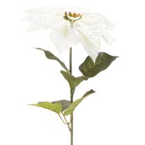 Artículo Flor de Pascua blanca artificial, decoración de rama florida grande, 65 cm, 2 piezas