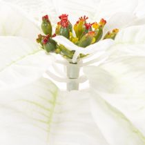 Artículo Flor de Pascua blanca artificial, decoración de rama florida grande, 65 cm, 2 piezas