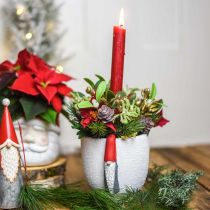 Artículo Maceta de Navidad con gnomo, decoración de Adviento, jardinera de hormigón blanco, rojo Ø8cm H12.5cm 2ud