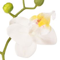 Artículo Orquídea blanca artificial en maceta Phalaenopsis H33cm