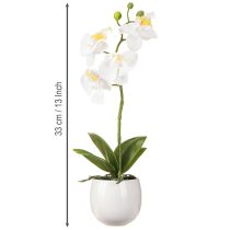 Artículo Orquídea blanca artificial en maceta Phalaenopsis H33cm