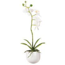 Artículo Orquídea blanca artificial en maceta Phalaenopsis H33cm