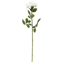 Artículo Rosa blanca Rosa falsa sobre tallo Flor de seda Rosa artificial L72cm Ø13cm