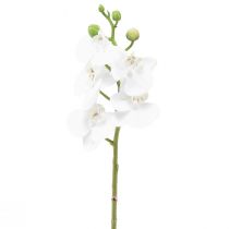 Artículo Orquídea Artificial Phalaenopsis Blanca Real Touch 32cm