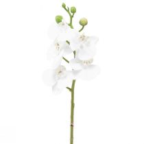 Orquídea Artificial Phalaenopsis Blanca Real Touch 32cm