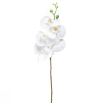 Orquídea Artificial Phalaenopsis Blanca Real Touch 85cm