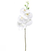 Artículo Orquídea Artificial Phalaenopsis Blanca Real Touch 85cm