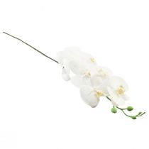 Artículo Orquídea Artificial Phalaenopsis Blanca Real Touch 85cm