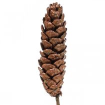 Artículo Conos de pino blanco Conos de pino cobre 70cm paquete de 7 piezas