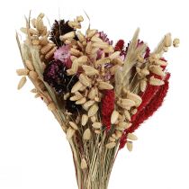 Artículo Ramo de flores silvestres secas en rosa natural L30cm