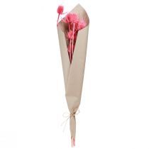 Artículo Decoración seca de cardo silvestre, cardos rosados, 53 cm, 10 cabezas