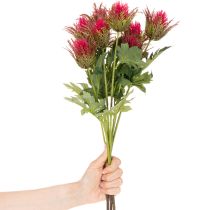 Artículo Rama de cardo rojo artificial para decoración, 67 cm, 3 piezas