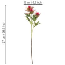 Artículo Rama de cardo rojo artificial para decoración, 67 cm, 3 piezas