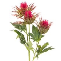 Artículo Rama de cardo rojo artificial para decoración, 67 cm, 3 piezas