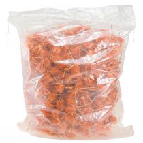 Artículo Cardo Silvestre Cardo Naranja Decoración Seca 1kg