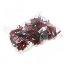 Artículo Lirio salvaje rojo decoración natural flores secas 6-8cm 50uds