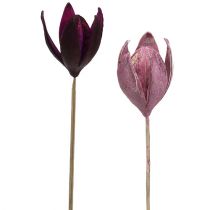 Lirio silvestre para decorar en el tallo mix rosa, brezo 45uds