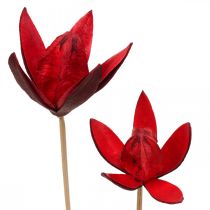 Lirio salvaje en un tallo rojo Ø6.5cm 35cm 45p