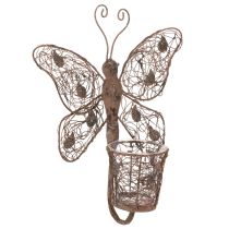 Artículo Farol metálico, decoración de pared, mariposa, acabado óxido, 36,5 cm