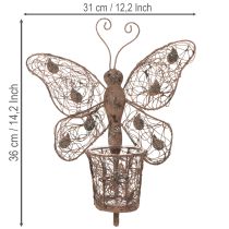 Artículo Farol metálico, decoración de pared, mariposa, acabado óxido, 36,5 cm