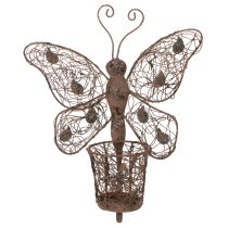 Artículo Farol metálico, decoración de pared, mariposa, acabado óxido, 36,5 cm