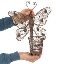 Artículo Farol metálico, decoración de pared, mariposa, acabado óxido, 36,5 cm