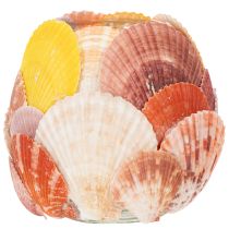 Artículo Portavelas náutico, farol, conchas marinas auténticas, decoración para baño, ambiente festivo, 12 cm