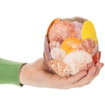 Artículo Portavelas náutico, farol, conchas marinas auténticas, decoración para baño, ambiente festivo, 12 cm