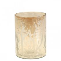 Linterna de cristal Deco Trees Brown Tealight Glass Ø9.5cm H13.5cm