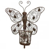 Artículo Farol decoración pared metal mariposa decoración óxido 36.5cm