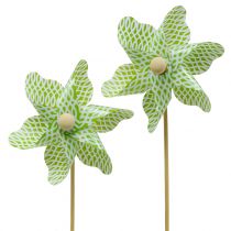Molino Mini Verde-Blanco Ø9cm 12p