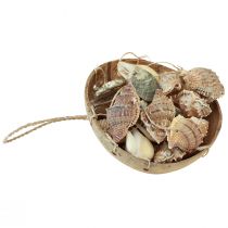 Artículo Campana de viento decoración marítima con coco natural Ø12,5cm 48cm