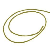 Artículo Hilo de mecha cordón de lana cordón de fieltro verde musgo 3mm 100m