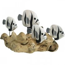 Expositor de madera de raíz de pie de peces decorativos Decoración marinera 38cm