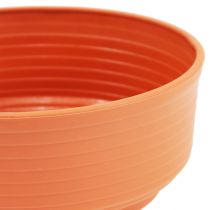 Plastico Z-bowl Ø 16cm - 22cm 10 piezas