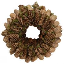 Artículo Corona de conos con musgo Corona grande de piñas de abeto Ø45cm
