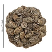 Artículo Bola cónica para colgar piñas de aliso blanqueadas 12cm